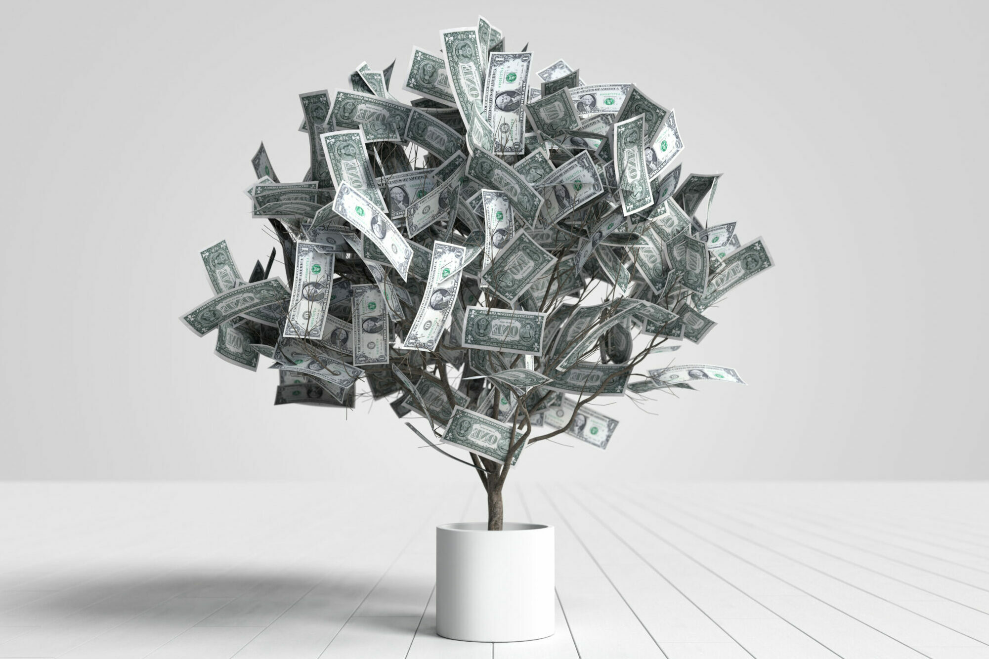 Dollar banknotes tree growing in a white pot, Money tree, Growth for trading and investing. 3D illustration